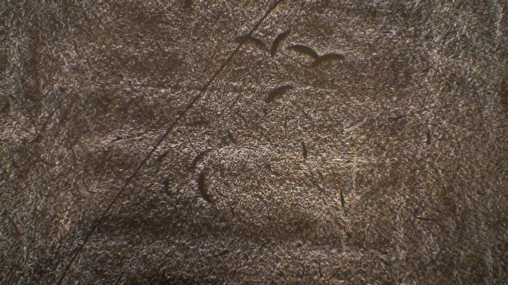 Le grand paysage d'Alexis Droeven (Jean-Jacques Andrien, 1981)