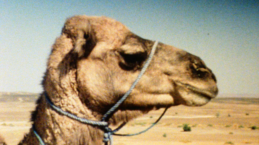 Le grand paysage d'Alexis Droeven (Jean-Jacques Andrien, 1981)
