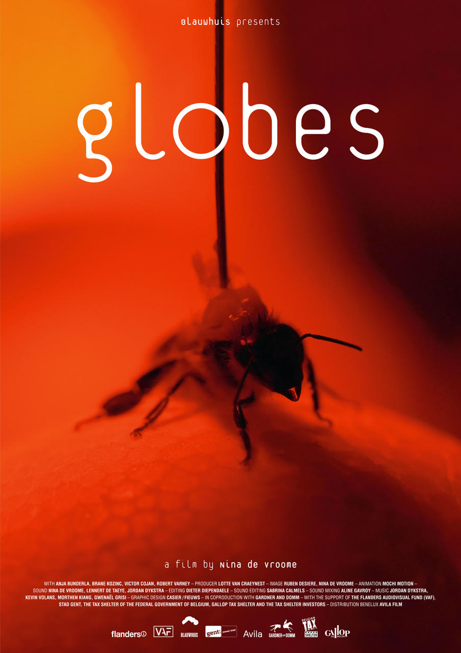Poster Globes (Nina de Vroome, 2021)