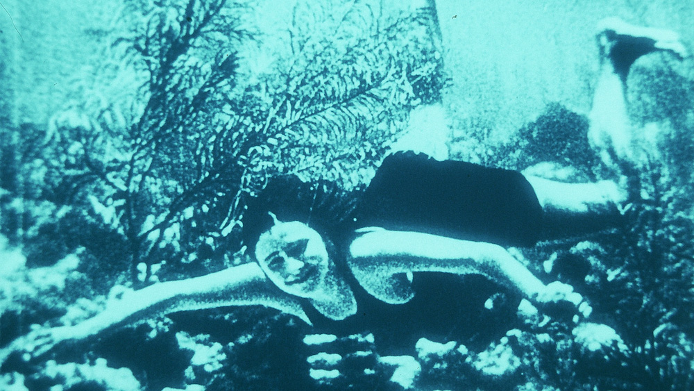 Le grand paysage d'Alexis Droeven (Jean-Jacques Andrien, 1981)
