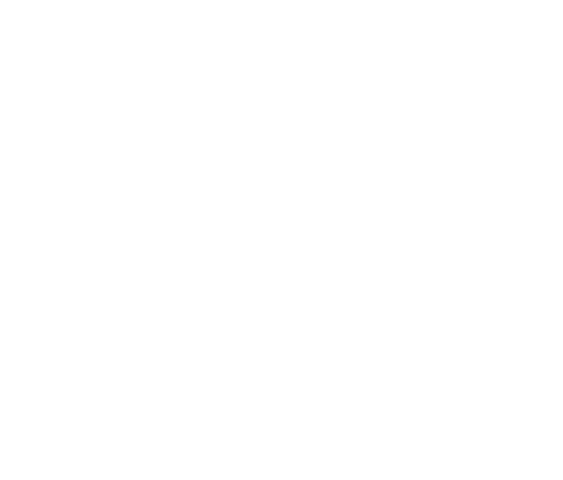 Laurel International Film Festival Rotterdam