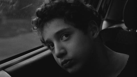 Inclusive (Ellen Vermeulen, 2018)