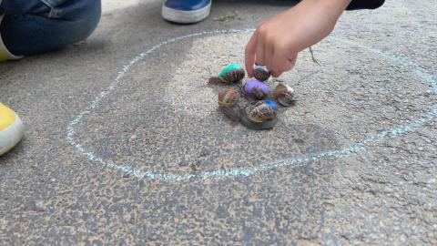 Children’s Game #31: Slakken (Francis Alÿs , 2021)