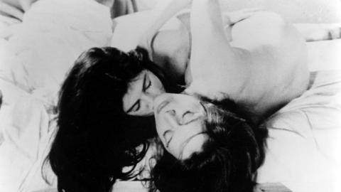 Thumb Je, tu, il, elle