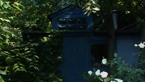 Thumb trilogy Pauwels